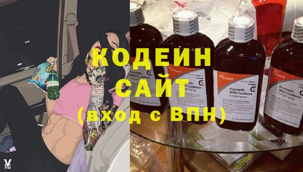 индика Богданович